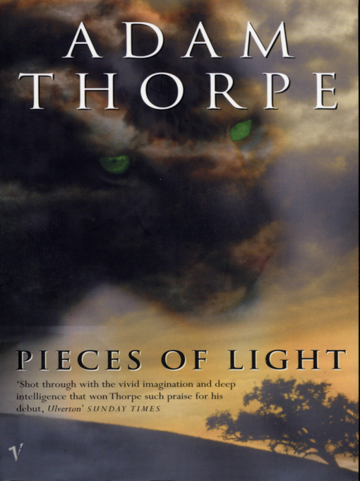 Cover image for Pieces of Light